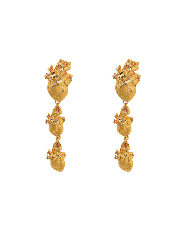 Aretes Amorini