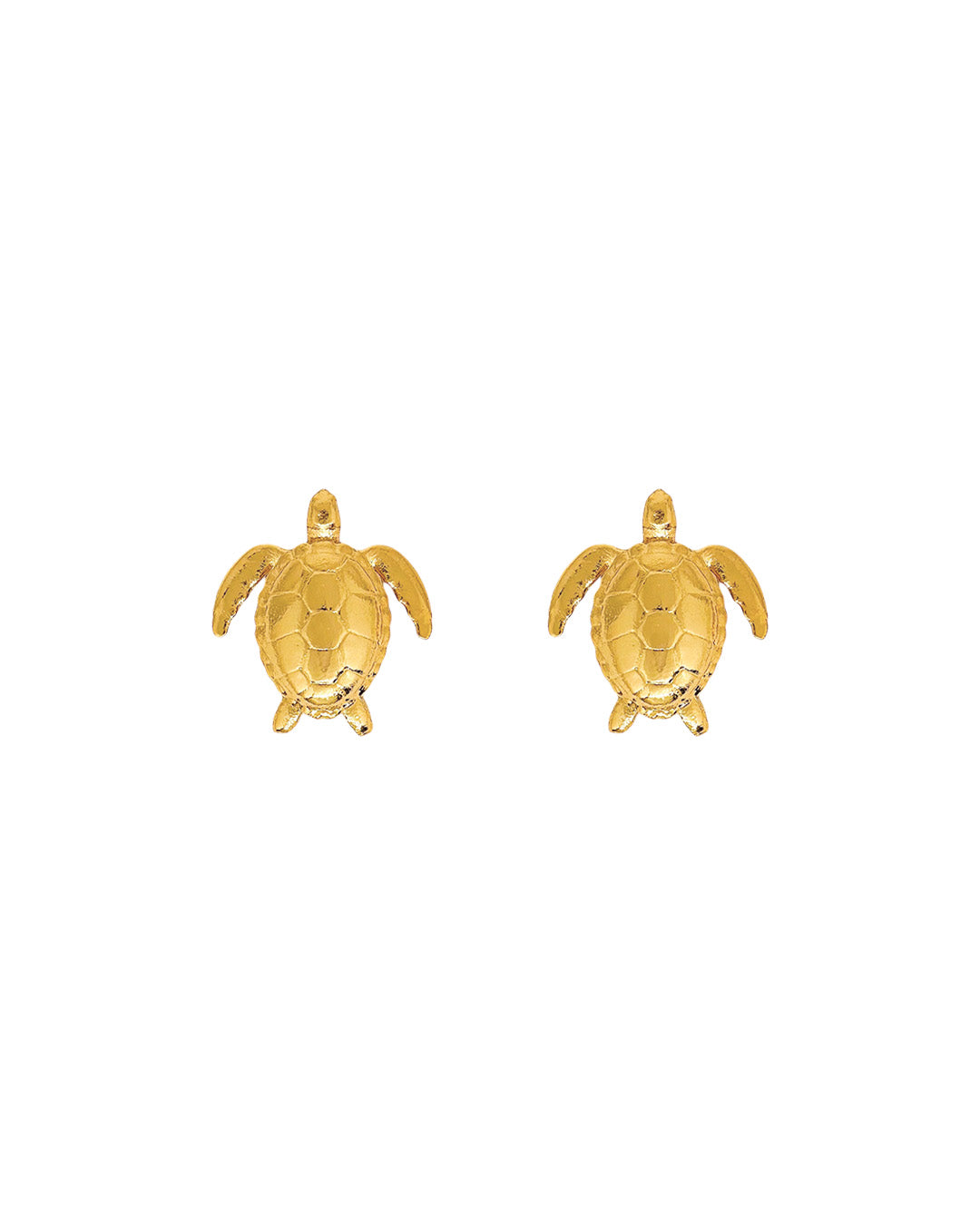 aretes-turtle-reef