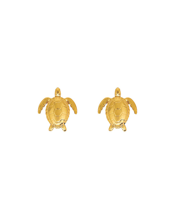 Aretes Turtle Reef