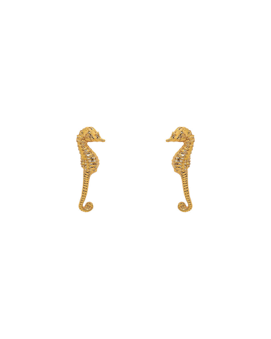 Aretes Seahorse