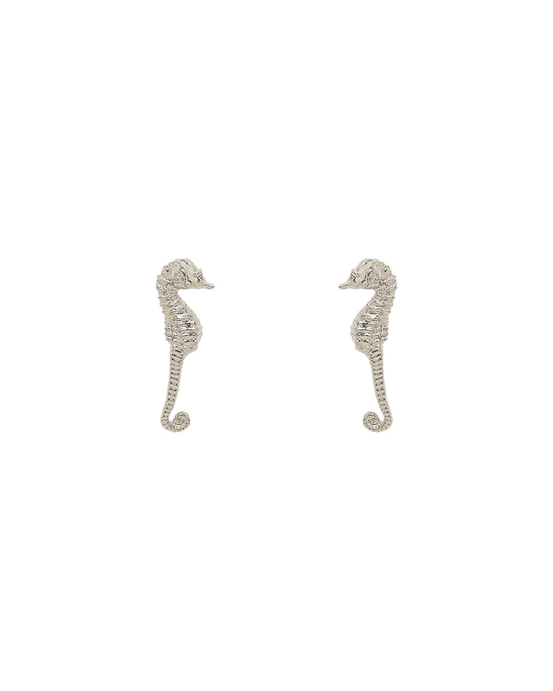 Aretes Seahorse