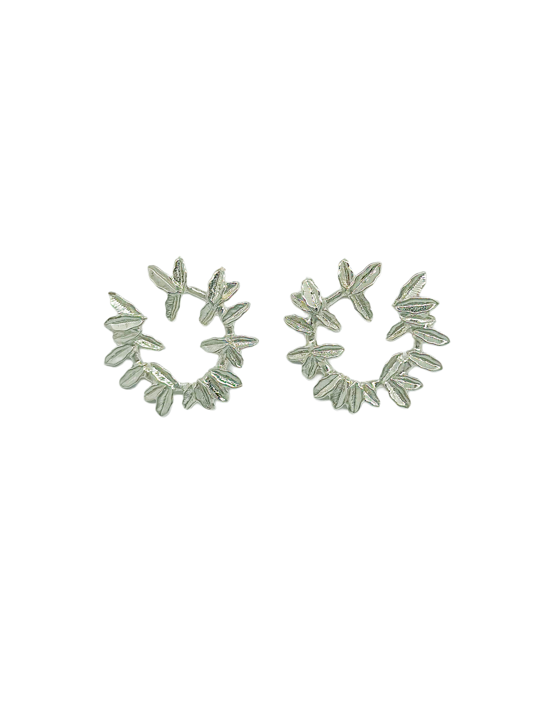 aretes-cienaga