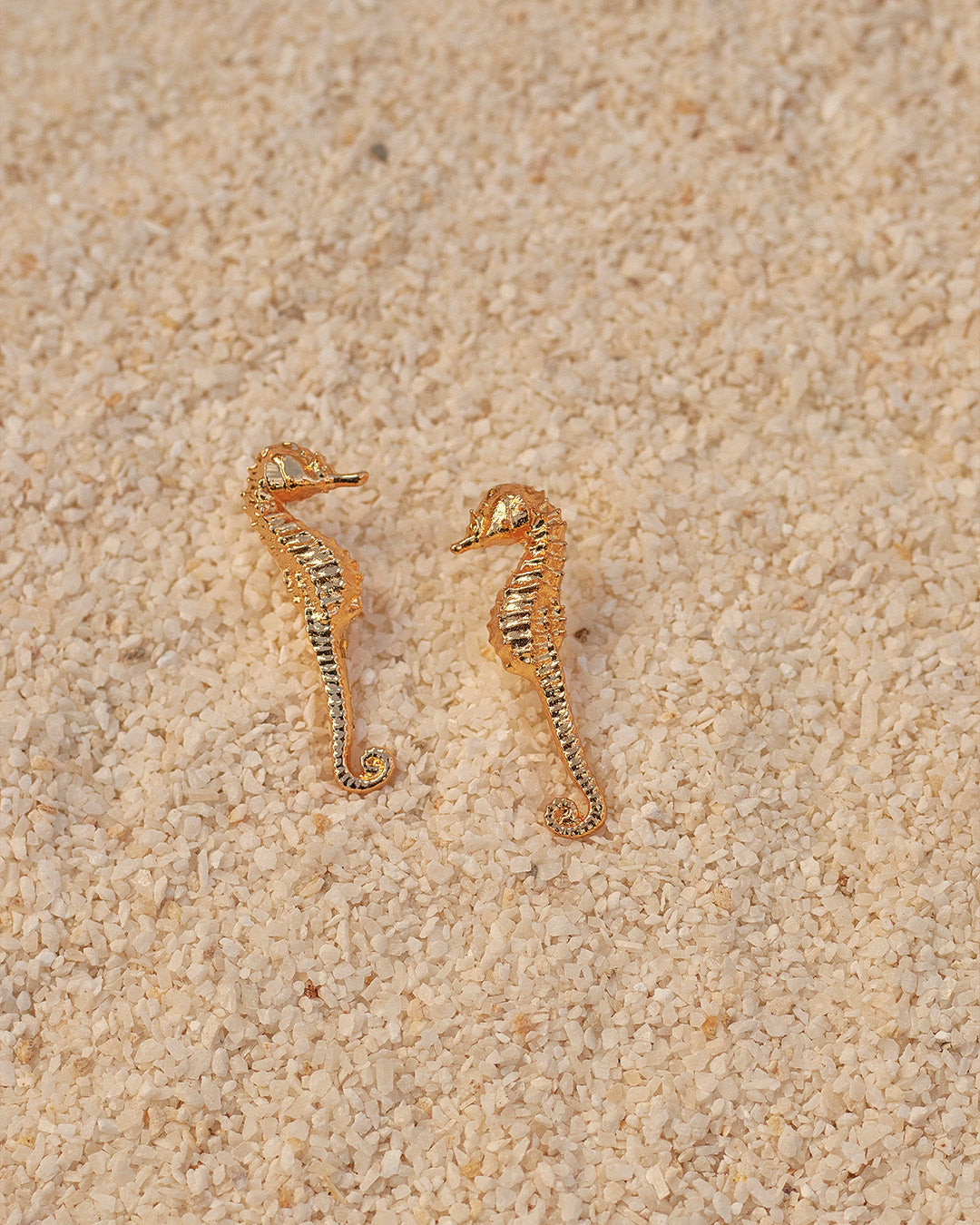 aretes-seahorse