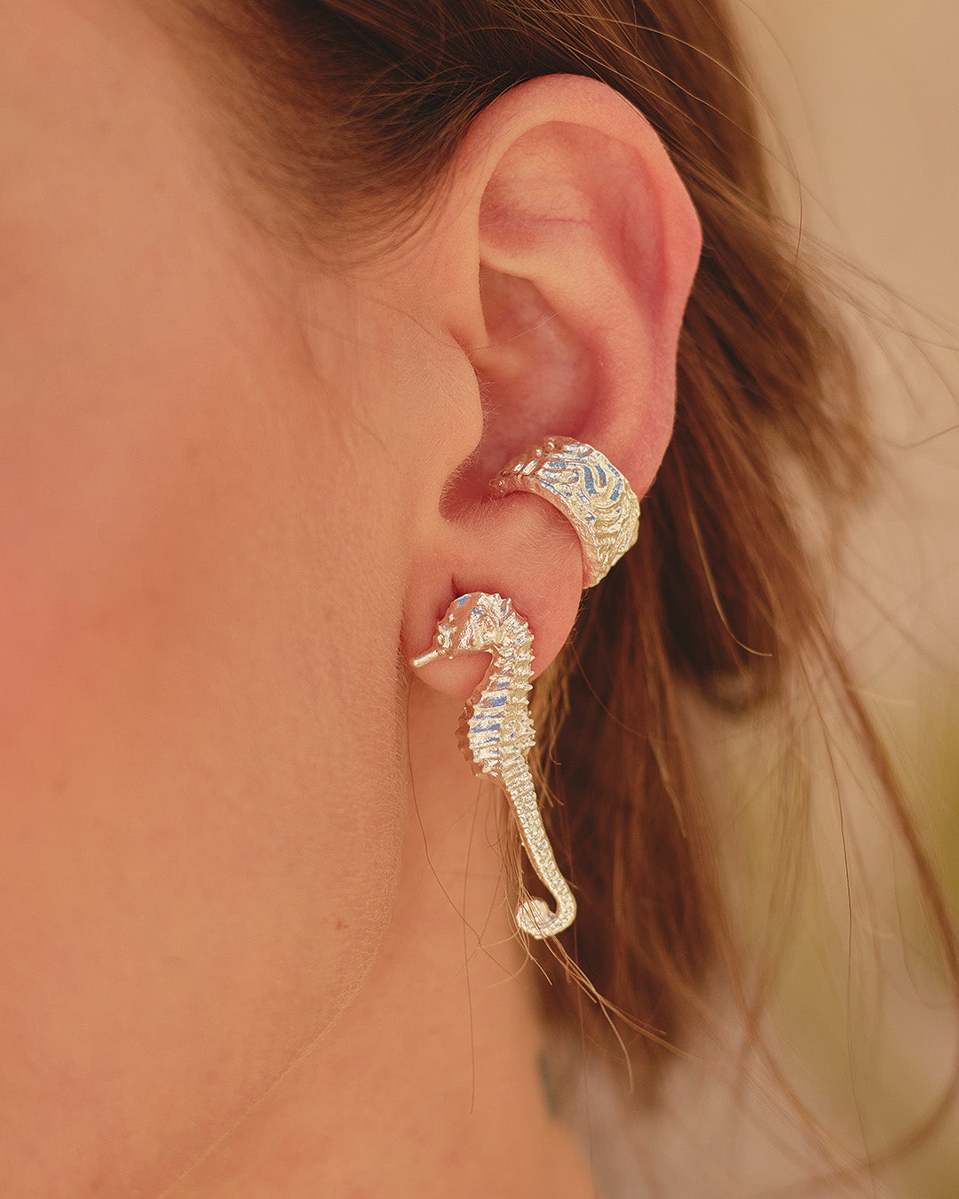 aretes-seahorse